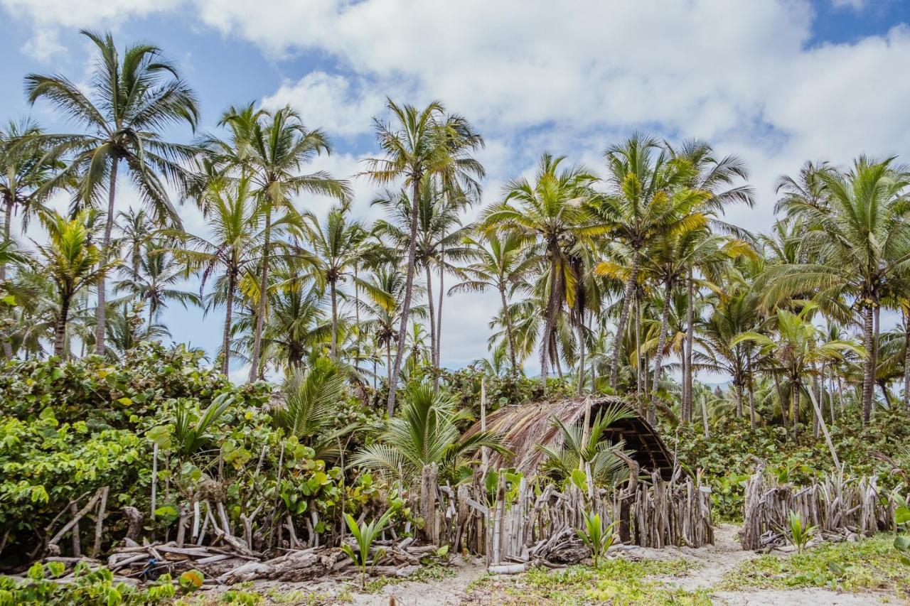 Hotel Lote 10 Glamping Guachaca Exteriér fotografie