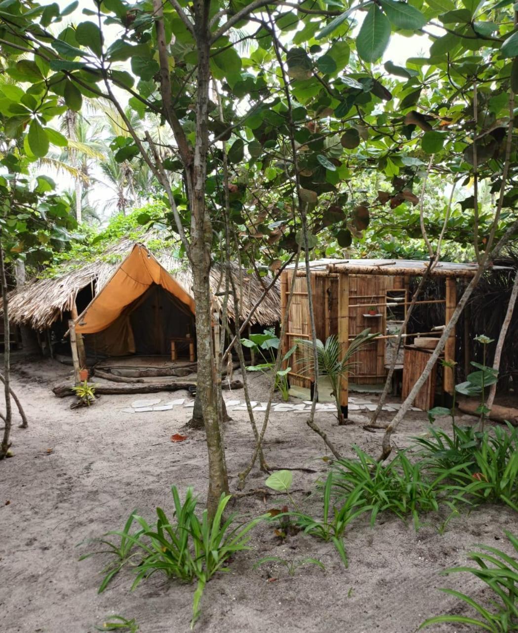 Hotel Lote 10 Glamping Guachaca Exteriér fotografie