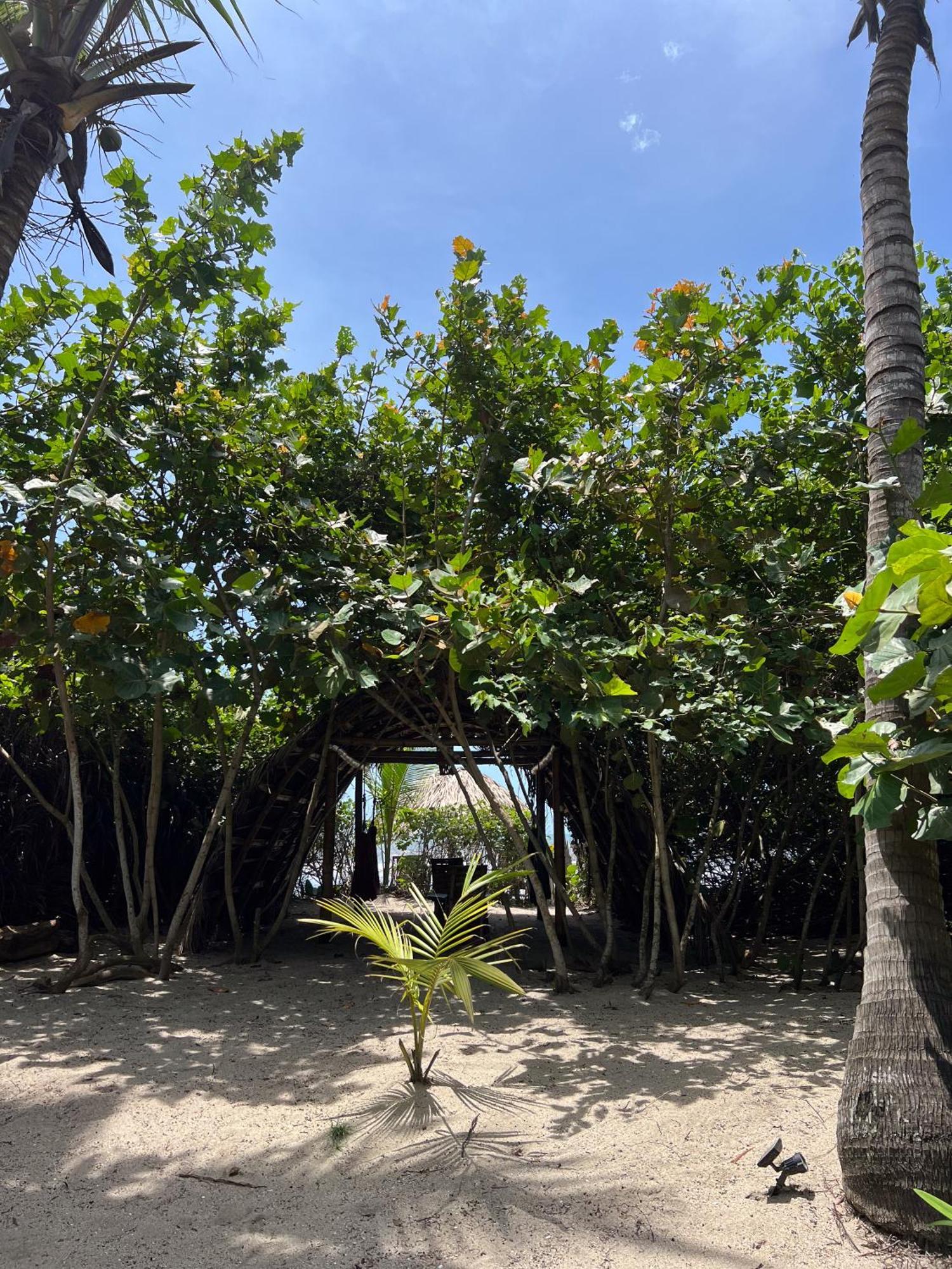 Hotel Lote 10 Glamping Guachaca Exteriér fotografie